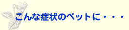 ����ȏǏ�̃y�b�g�ɁE�E�E
