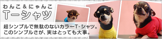 わんこ&にゃんこT-シャツ。超シンプルで無駄のないカラーT-シャツ。